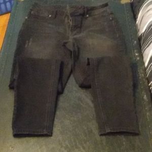 Maurice's clothing